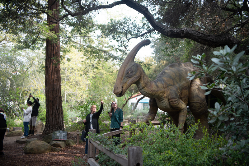Visitors in Prehistoric Forest searching for Dinosaurs