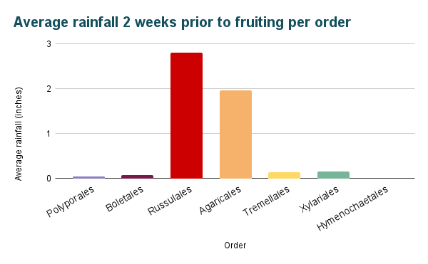 A multi-colored bar graph titled “Average rainfall 2 weeks prior to fruiting per order.” It is very similar to the previous graph, with all bars being slightly taller but having grown by a proportional amount. 