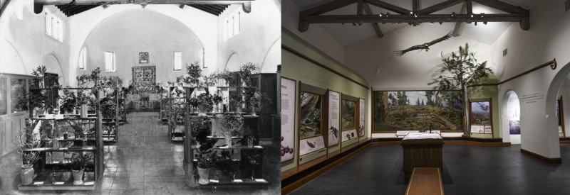 Santa Barbara Gallery c 1930 and 2018