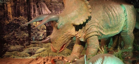 Prehistoric Forest Exhibit Opening