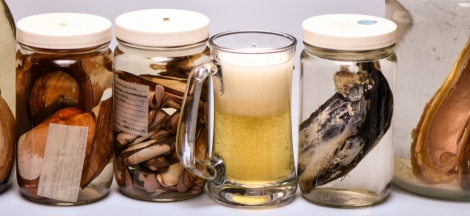 Science Pub: Harnessing Gut Microbes to Turn Waste into Energy