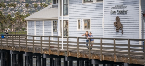 Picnic on the Pier