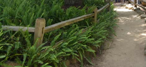 Area Across the Creek Closed