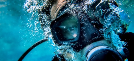 Live Dive