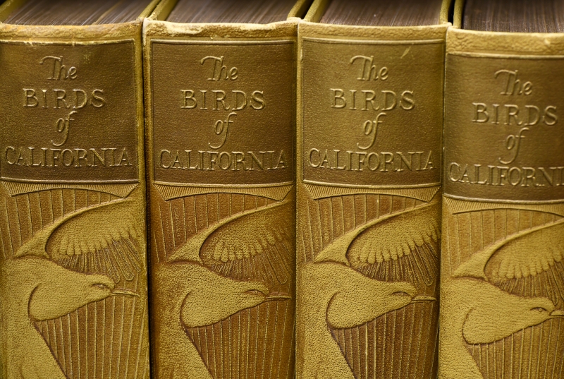 Birds of California book spines