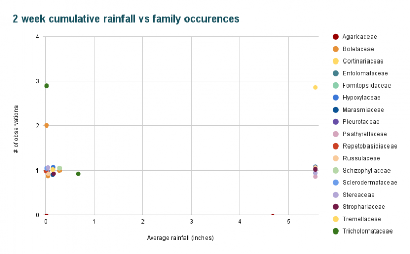 A multicolored scatterplot titled “2 week cumulative rainfall vs family occurrences.” The x-axis is titled “Average rainfall (inches),” and goes up to above 5. The y-axis is labeled “# of observations,” and goes up to 4. On the left is a key with the names of the families and colored dots they correspond with. The dots themselves are mostly concentrated around 0 and 1 inches of rainfall and 1 observation, and around 5.5 inches of rainfall with one observation. There are no dots with more than 3 observations, and none fruiting between 1 and 4 inches. 