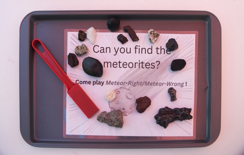 A meteorite guessing game spread out on a metal tray