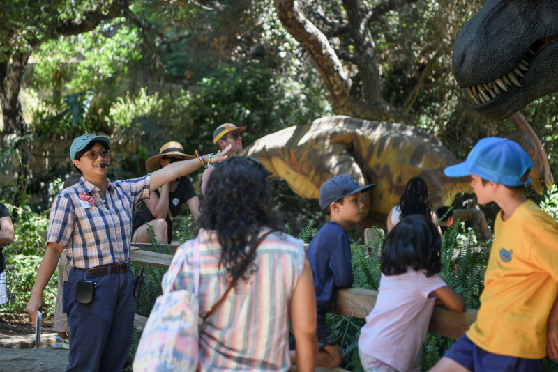 Guests exploring Prehistoric Forest Exhibit at the Santa Barbara Museum of Natural History