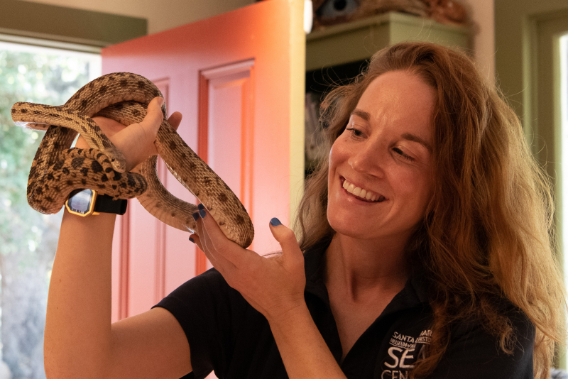 Smiling woman supporting a medium-sized snake with handsome dark brown patterns on his tan skin