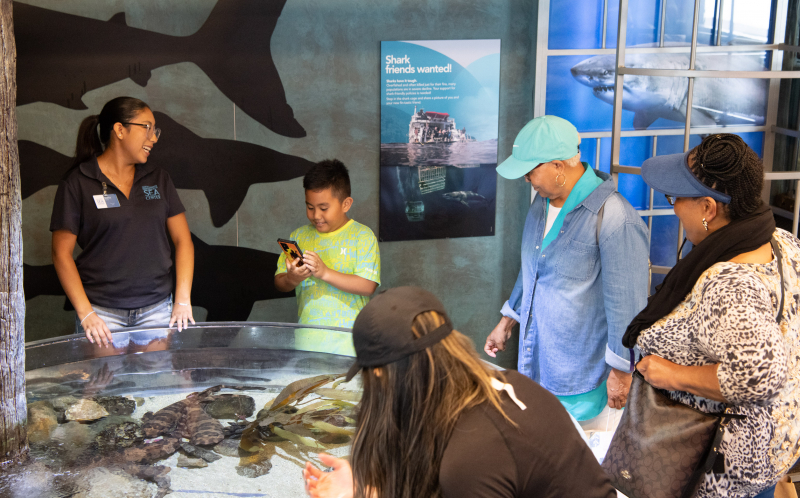 smiling volunteer and guests around Shark Cove at the Sea Center