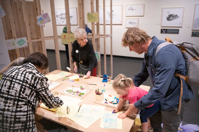 Family creating art at the Santa Barbara Museum of Natural History's new exhibit - The Living Print