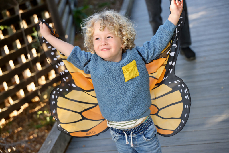 A cute child showing off a Monarch butterfly costume