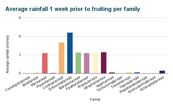 A multicolored bar graph titled “Average rainfall 1 week prior to fruiting per family.” The x-axis is labeled “Family,” with 17 different bars, and the y-axis is labeled “Average rainfall (inches)” and goes up to 6. The bars for Fomitopsidaceae, Repetobasidiaceae, Sclerodermataceae, and Tricholomataceae are not visible. Agaricaceae, Boletaceae, Pleurotaceae, Tremellaceae, Hypoxylaceae, and Schizophyllaceae are all very short, reaching less than .3. Stereaceae, Marasmiaceae, Psathyrellaceae, Russulaceae, and Strophariaceae all have a similar height, between 2.2 and 2.3. Cortinariaceae and Entolomataceae are the tallest, with 3.3 and 4.4, respectively.