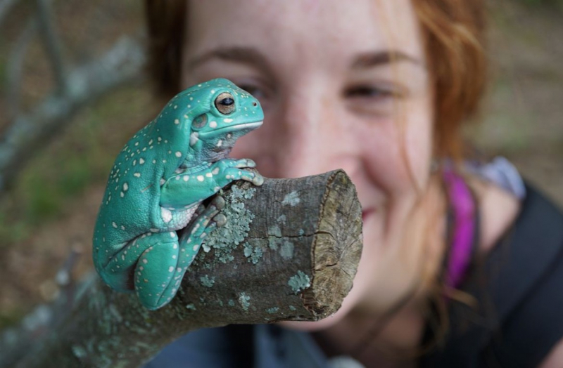 A close-up view of a beautiful green tree frog perched on a log, with a woman's smiling face out of focus in the background