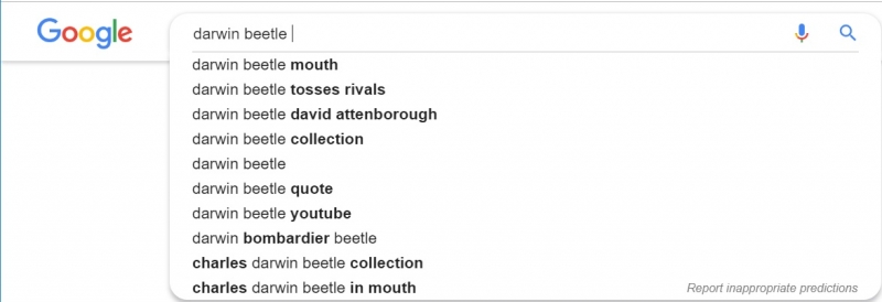 google search suggests Darwin beetle mouth