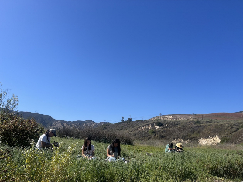 Quasars out in nature