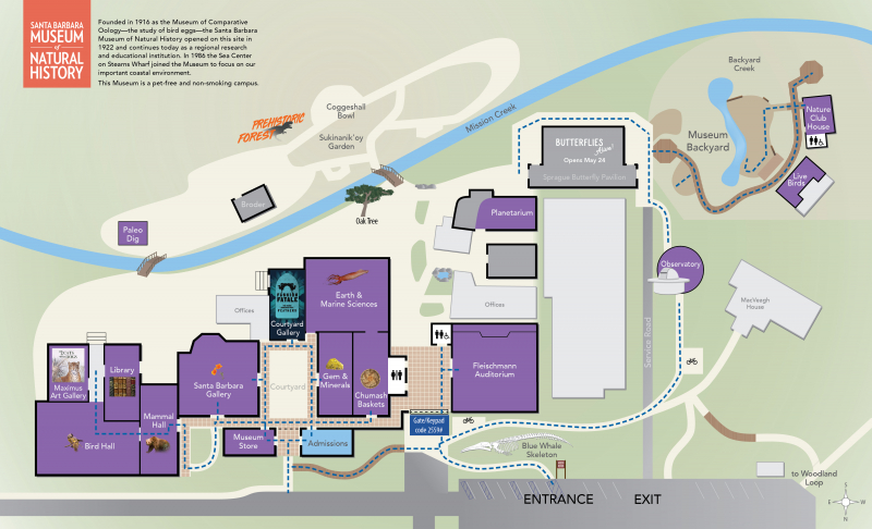 A map showing ADA-accessible paths of travel at the Museum