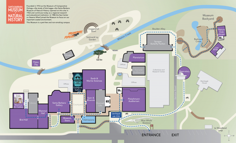 A map showing ADA-accessible paths of travel at the Museum