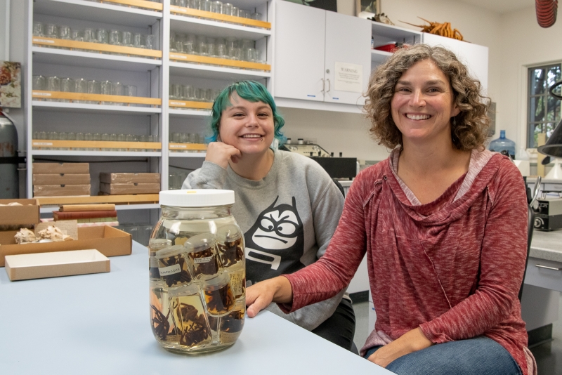 Otte and Dr. Maupin with a lovely jar of tarantulas (family Theraphosidae) in the Invertebrate Zoology lab