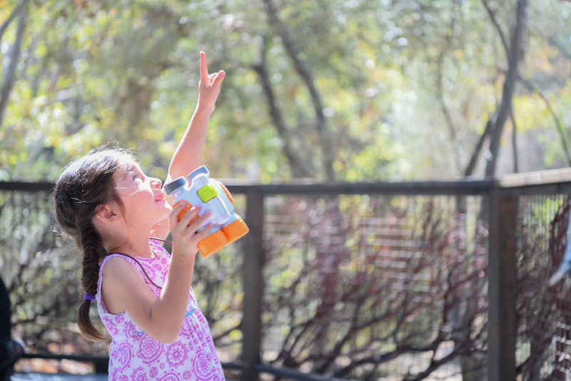 Young girl in the backyard looking for birds