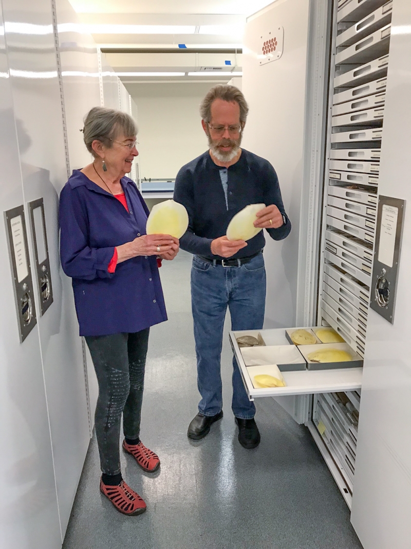Carole S. Hickman and Paul Valentich-Scott in the Invertebrate Zoology collection