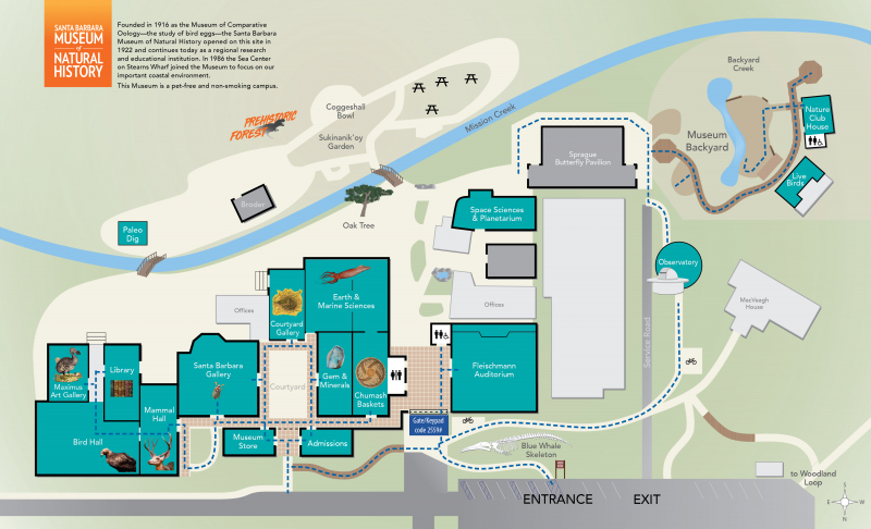 A map showing ADA-accessible paths of travel at the Museum