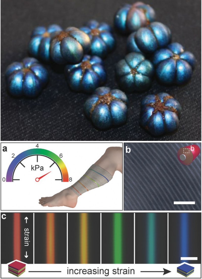 vivid blue fruit and color-changing bandage