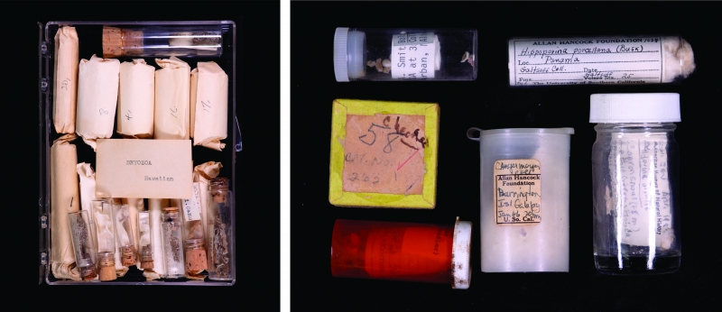 An odd assortment of boxes and tubes--including an orange medication vial--holding cryptically labeled specimens