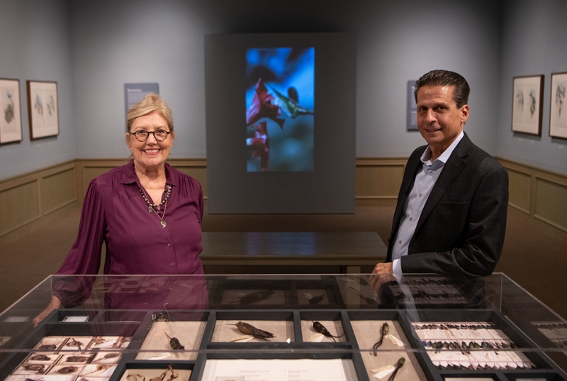Smiling woman and man standing in an art gallery with antique prints on the walls, a giant hummingbird projected in the background, and a case of preserved hummingbird specimens in the foreground