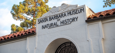 Museum Closed