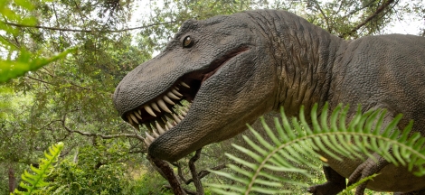 Prehistoric Forest Early Closure