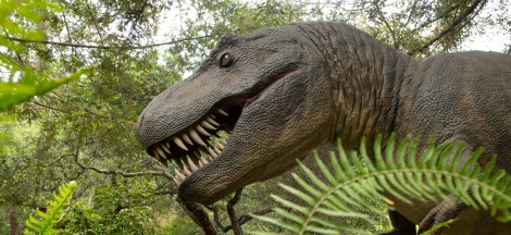Prehistoric Forest Early Closure