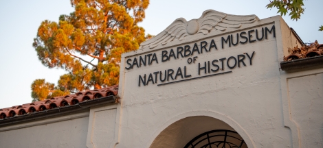 Members-Only Early Entry | Museum