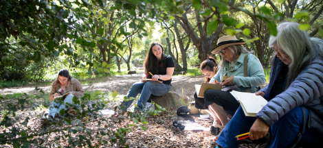 Nature Journaling in the Park