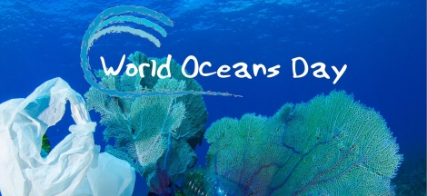 World Oceans Day Festival