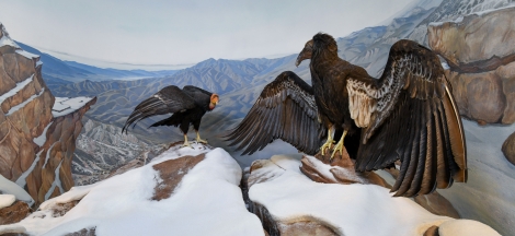 Free Admission Day