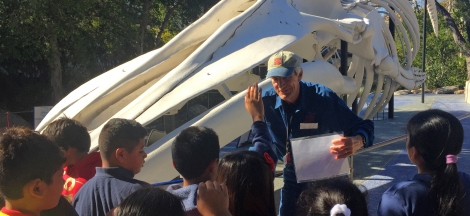 Docent Open House