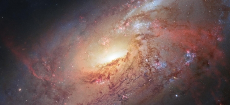 Planetarium Shows - Weekdays