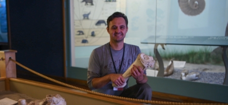 Dino Days: Local Fossils with Paleontologist Dr. Jonathan Hoffman