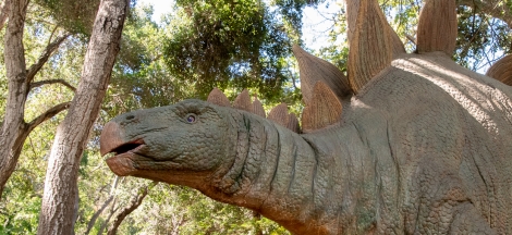 Dino Days: Herbivores with Paleobiologist Grayson Kent