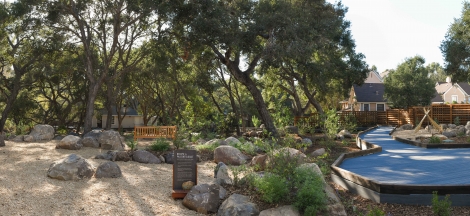 Backyard and Prehistoric Forest Early Closure